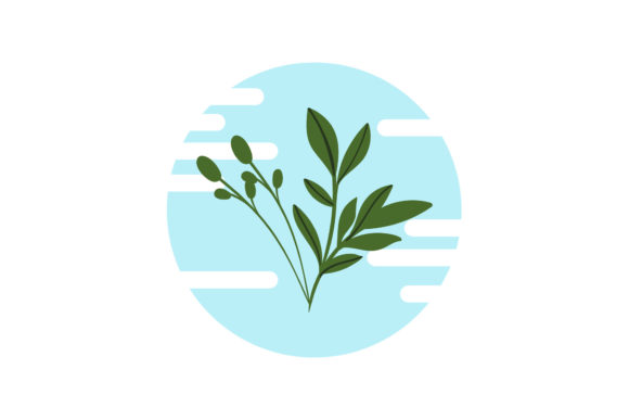 Beauty Vector Flowers Graphics and Illustrations Review