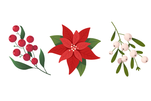 Christmas Plants and Flowers Graphics and Illustrations Review