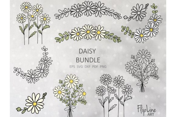 Daisy Flowers Graphics and Illustrations for Editorial Design