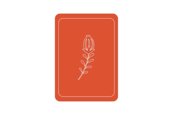 Flowers Red Illustrations: Professional Graphics and Freebies Review