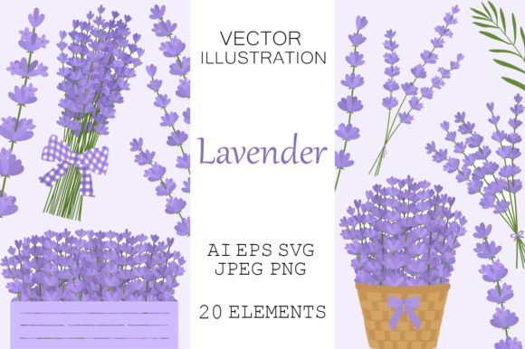 Lavender Flowers. Lavender SVG. Provence Graphics and Illustrations