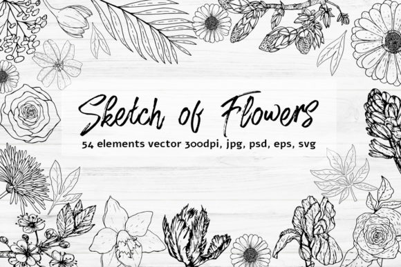 Vector Sketch of Flowers Graphics and Illustrations Review